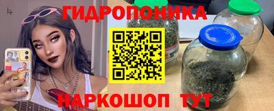 каннабис Новодвинск